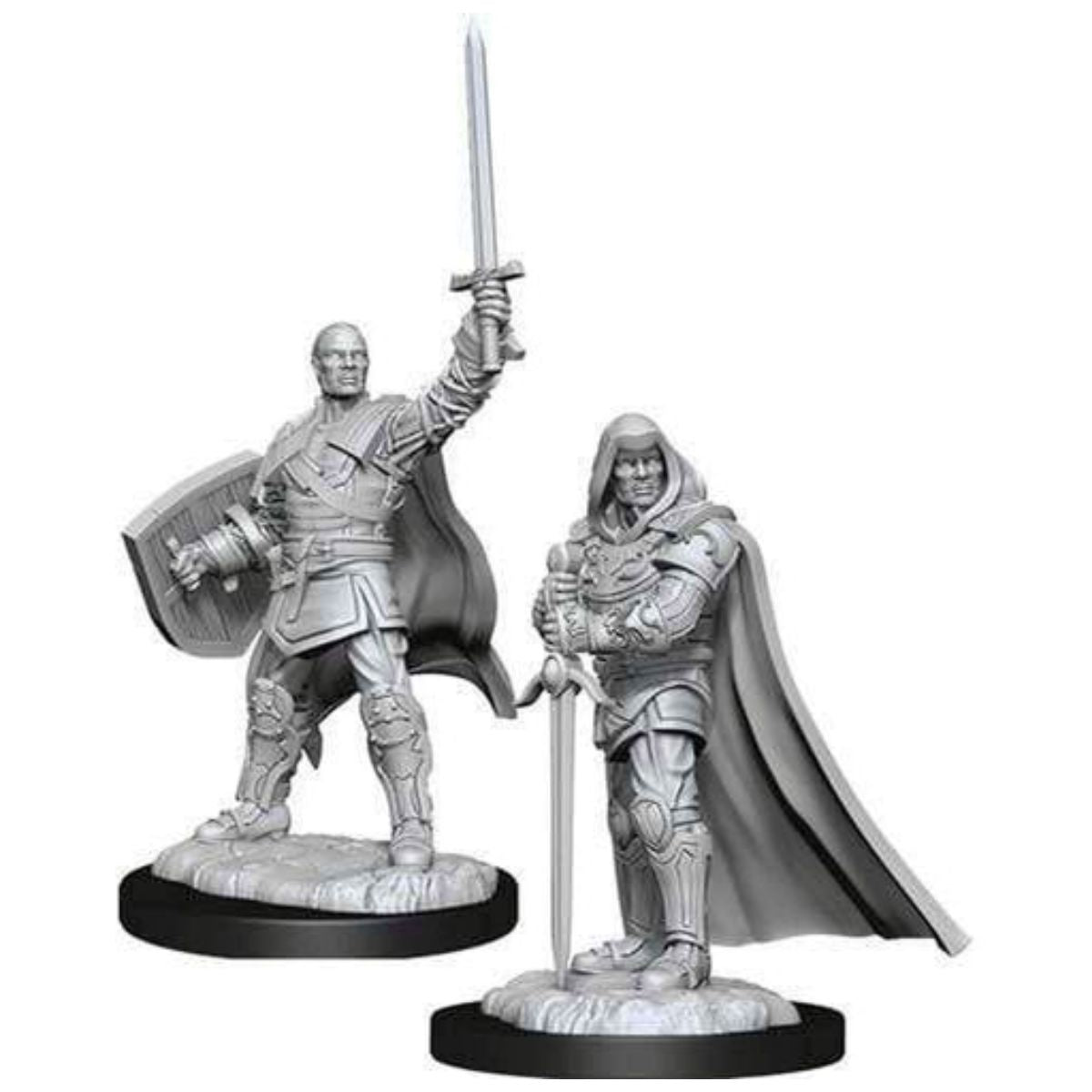 D&D Nolzur's Marvelous Miniatures Human Paladin Male