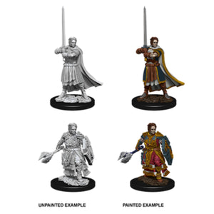 Dungeons & Dragons Miniaturen