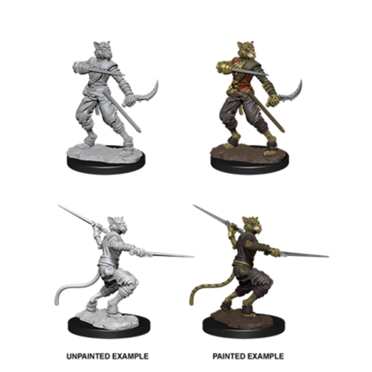 D&D Nolzur's Marvelous Miniatures Male Tabaxi Rogue