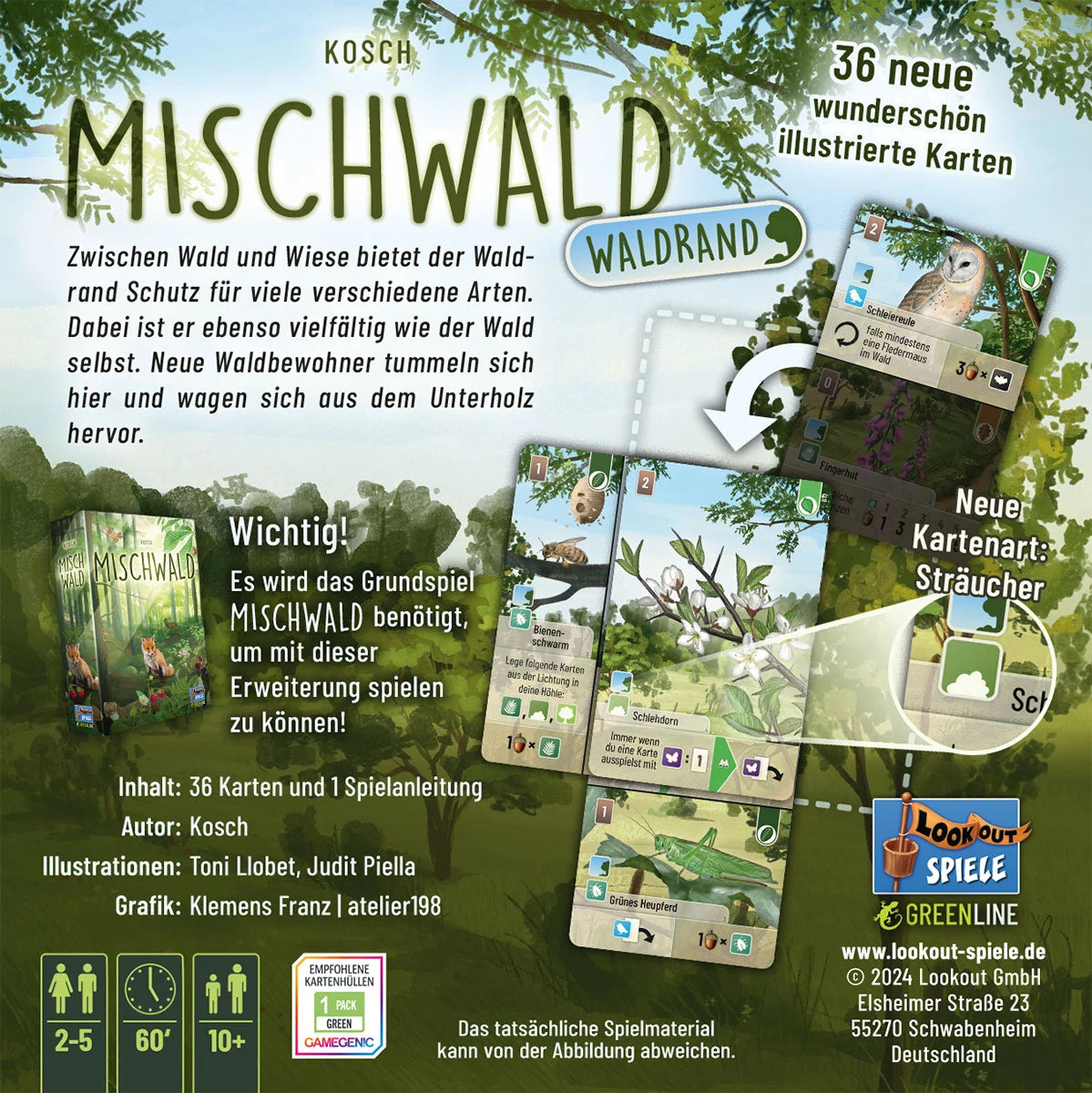 Mischwald - Waldrand